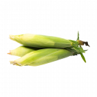 Épis de maïs (blé d'Inde)- Produit du Québec