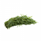 Estragon - Fines herbes fraîches