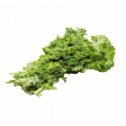 Chou kale - Produit du Québec