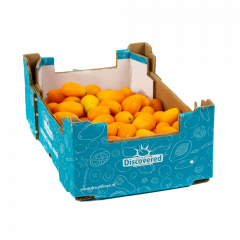 Kumquats (petit fruit orange)