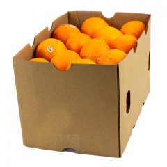 Oranges 48