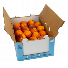 Oranges sanguines 36-44