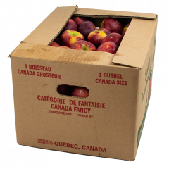 Pomme Cortland en vrac - Produit du Québec