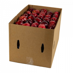 Pommes Délicieuse rouge