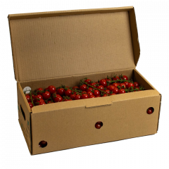 Tomates cerises rouges grappes - Prod. du Québec