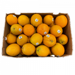 Bio oranges Navel
