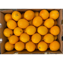 Bio oranges de Valence