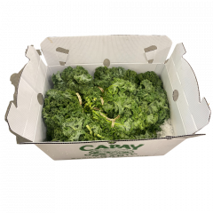 Bio choux kale verts