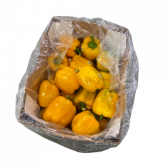 Bio poivrons jaunes larges (piment doux)
