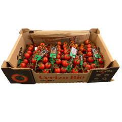 Bio tomates cerizo - Produit du Québec