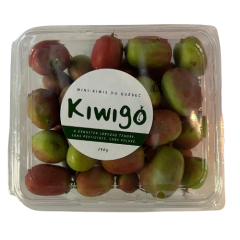 Mini Kiwi frais